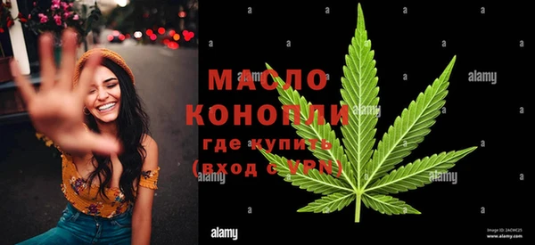МДПВ Вяземский