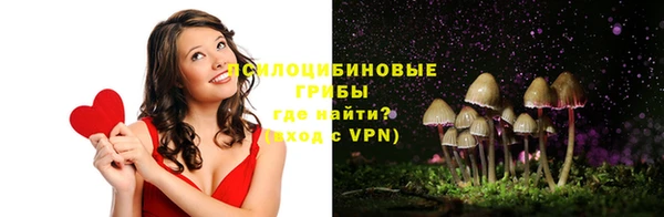 сатива Вязьма