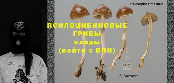 МДПВ Вяземский