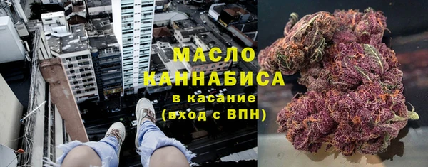 МДПВ Вяземский