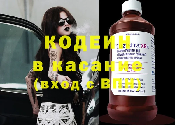 МДПВ Вяземский