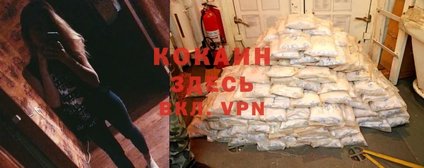 сатива Вязьма