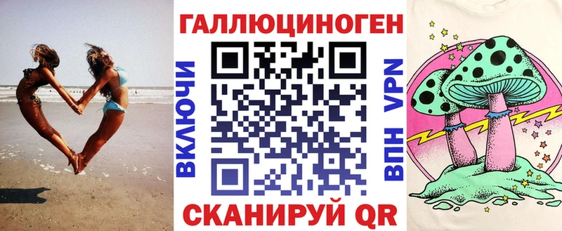 Галлюциногенные грибы Psilocybe  Невинномысск 